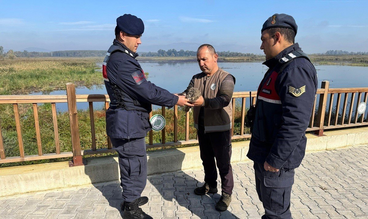 jandarmanin-hayvan-sevgisi