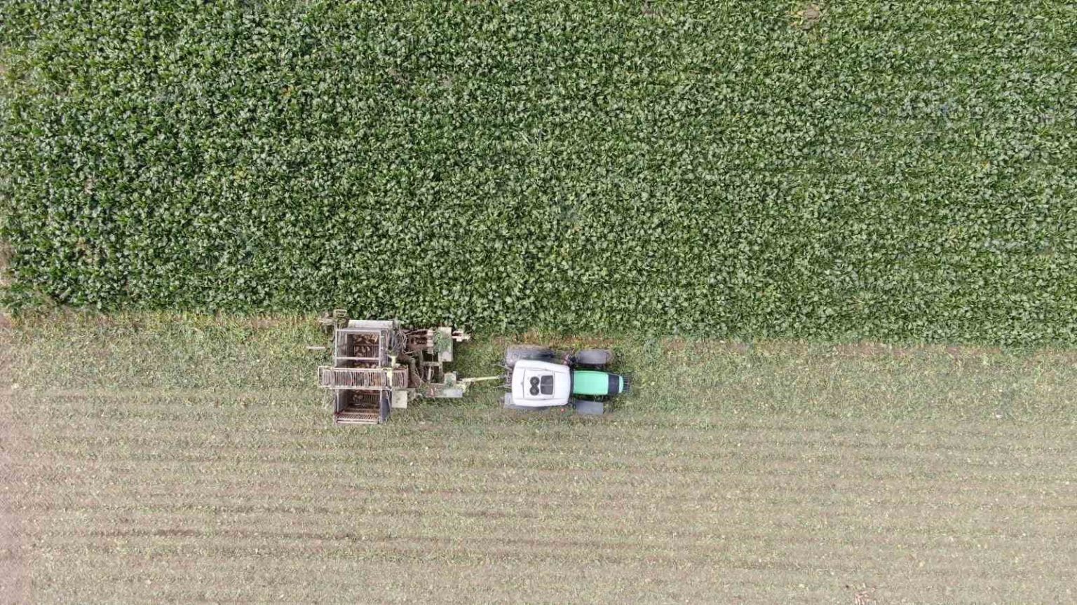 kastamonuda-ciftcilerin-zorlu-pancar-mesaisi-devam-ediyor