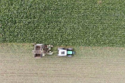 kastamonuda-ciftcilerin-zorlu-pancar-mesaisi-devam-ediyor