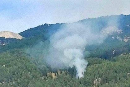 kavakliderede-orman-yangini