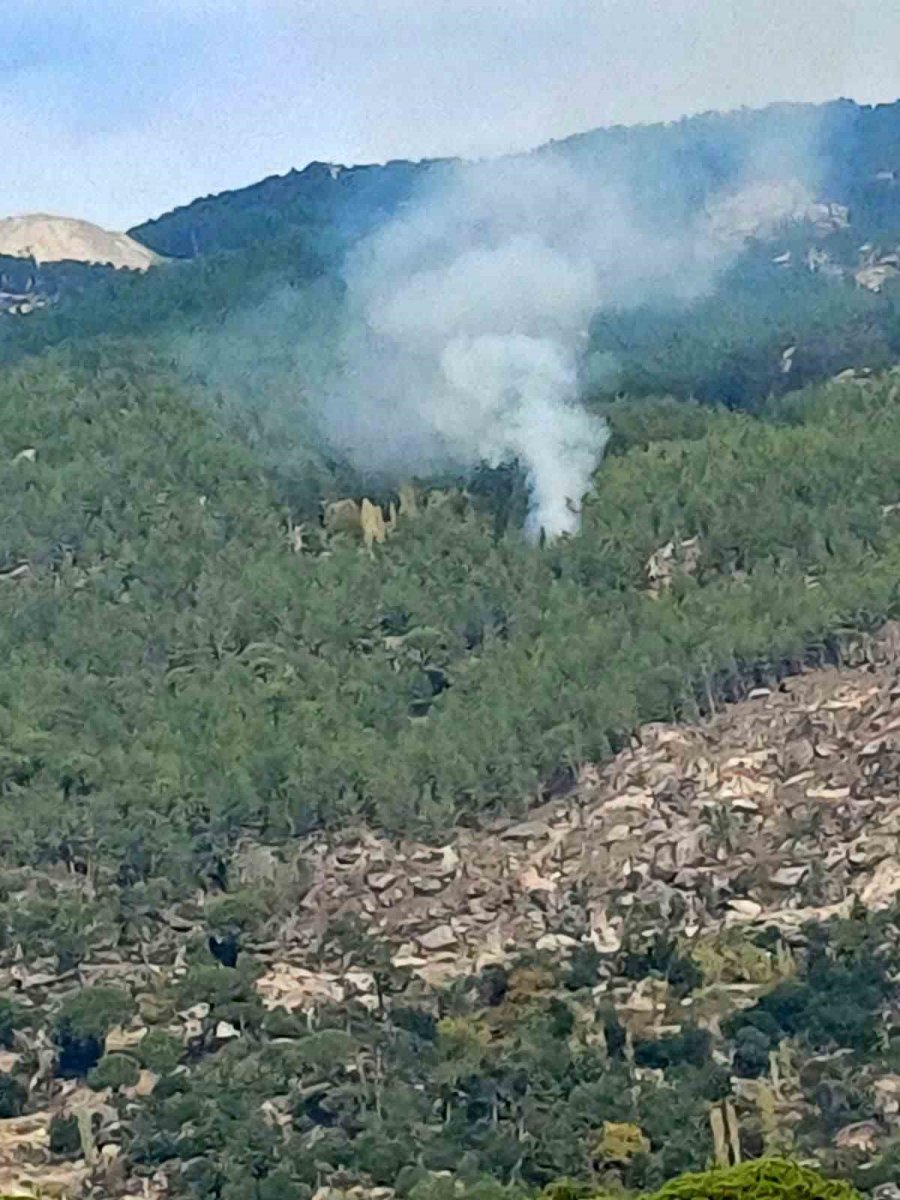 kavakliderede-orman-yangini