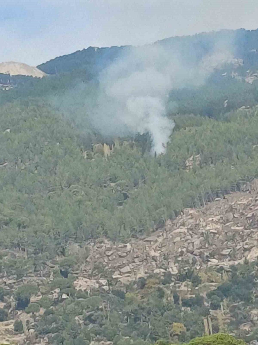 kavaklideredeki-orman-yangini-kontrol-altina-alindi