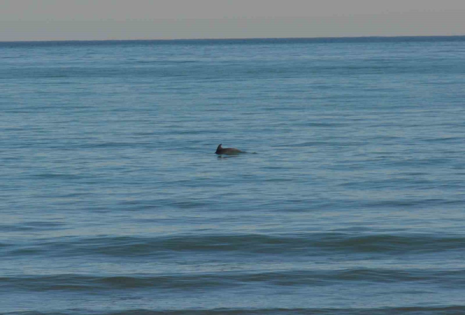 orduda-yunus-soleni-balik-avi-kameralara-yansidi