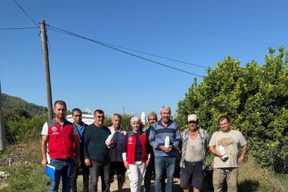 ortacada-narenciye-bahcelerinde-zararlilara-karsi-mucadele-suruyor