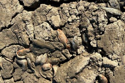 siirtte-balik-teleflerine-karsi-golete-150-tonluk-su-takviyesi