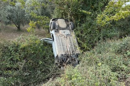 sollama-yaparken-zeytinlige-uctu