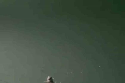 tuncelide-su-samuru-goruntulendi