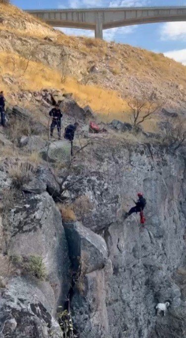 ucurumda-mahsur-kalan-keci-kurtarildi