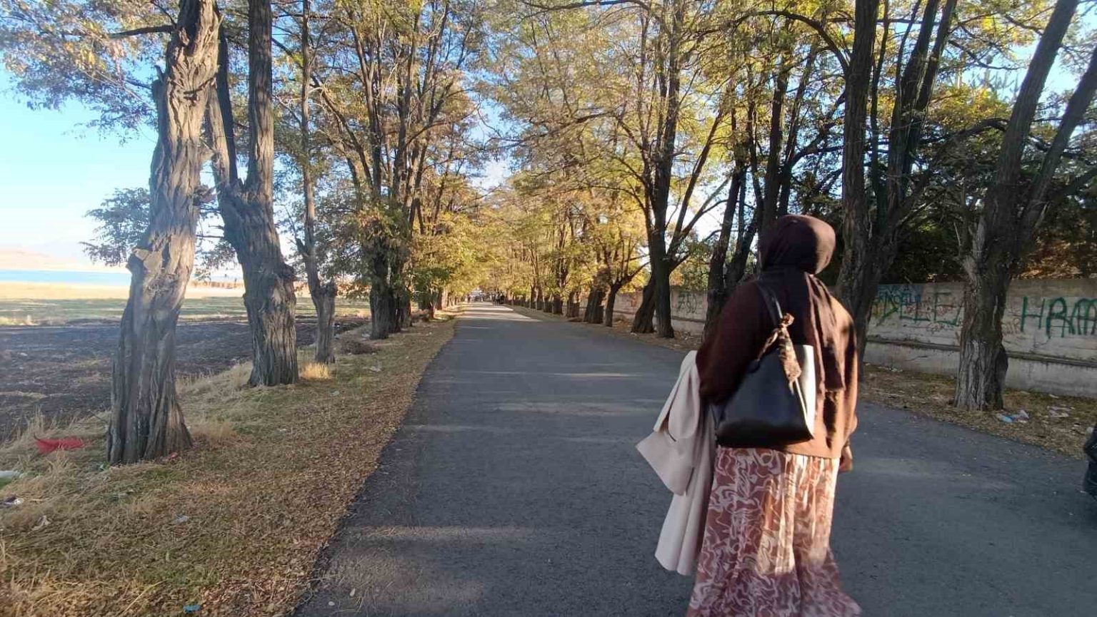 vanda-sonbahar-renk-cumbusu