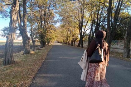 vanda-sonbahar-renk-cumbusu