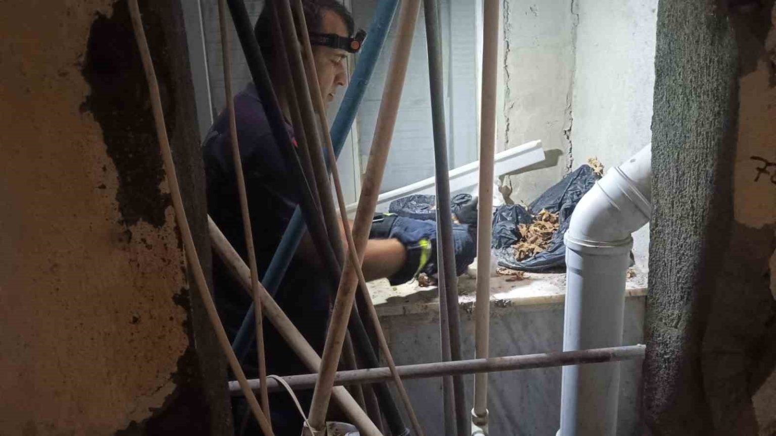 apartman-bosluguna-dusurek-mahsur-kalan-yavru-kediyi-itfaiye-ekipleri-kurtardi