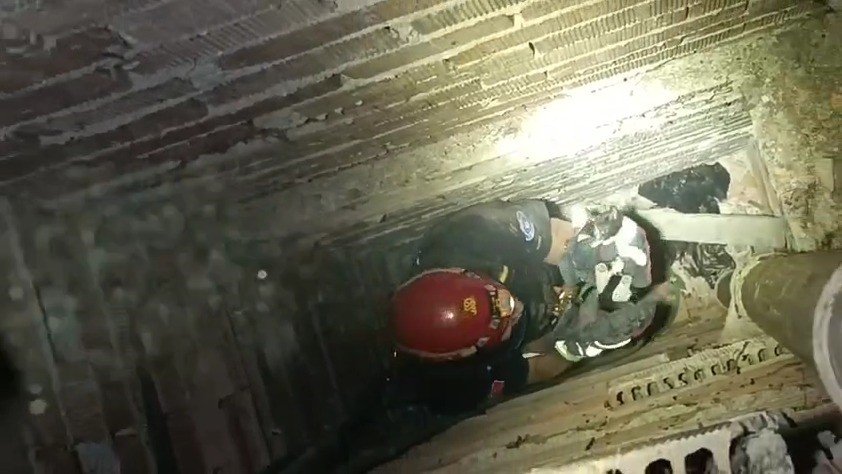 apartman-boslugunda-mahsur-kalan-yavru-kediyi-itfaiye-kurtardi