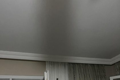 arsuzda-eve-giren-yarasayi-itfaiye-yakaladi