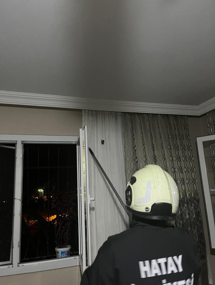 arsuzda-eve-giren-yarasayi-itfaiye-yakaladi