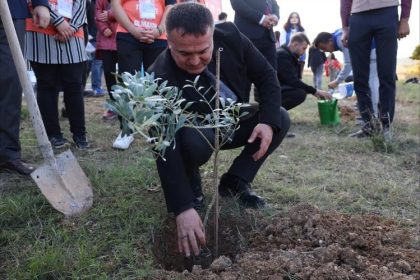 bseude-zeytin-fidanlari-toprakla-bulustu