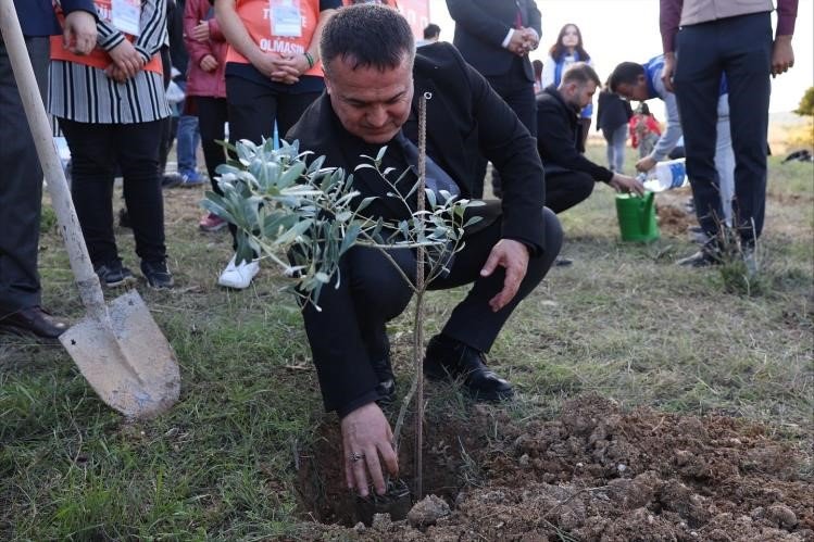 bseude-zeytin-fidanlari-toprakla-bulustu