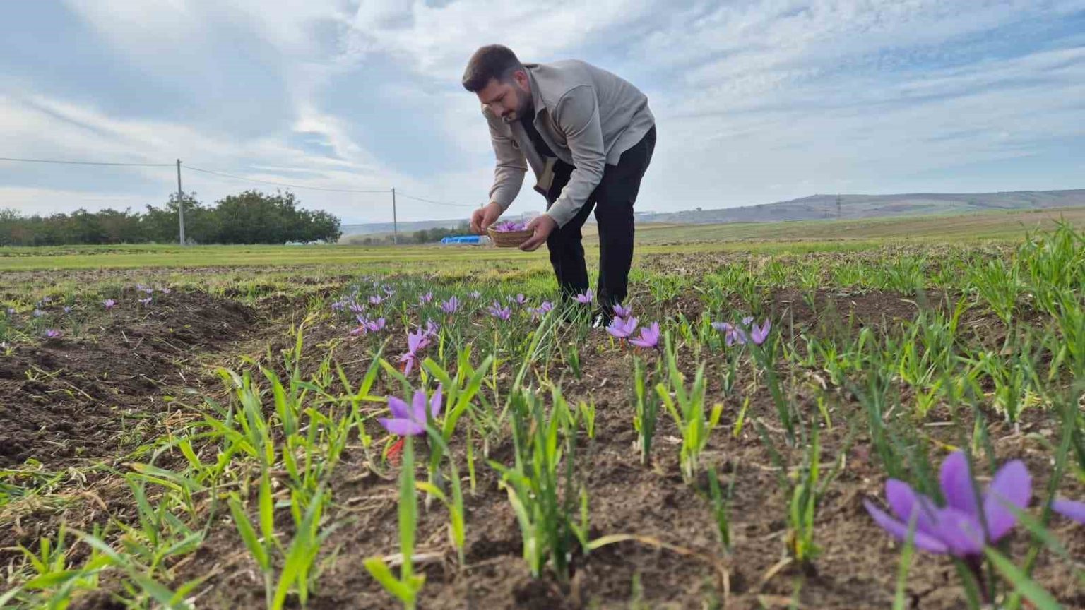 bu-baharatin-kilosu-600-bin-tl-topraktan-servet-fiskiriyor