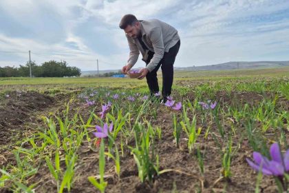 bu-baharatin-kilosu-600-bin-tl-topraktan-servet-fiskiriyor
