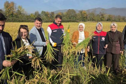 konuralp-pirincinde-damlama-sulama-bereketi