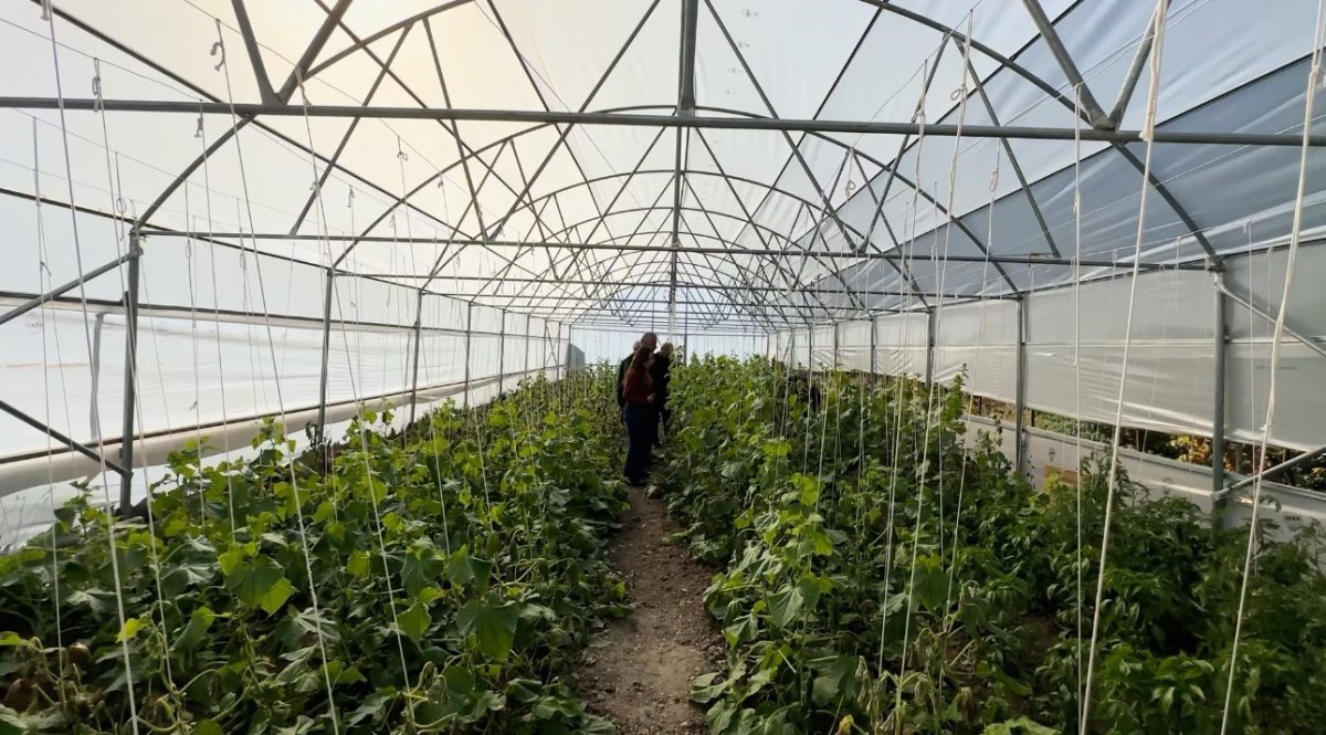 koye-donus-projesi-cercevesinde-kurulan-seralar-sayesinde-bosaltilan-koyler-yeniden-hayat-buldu