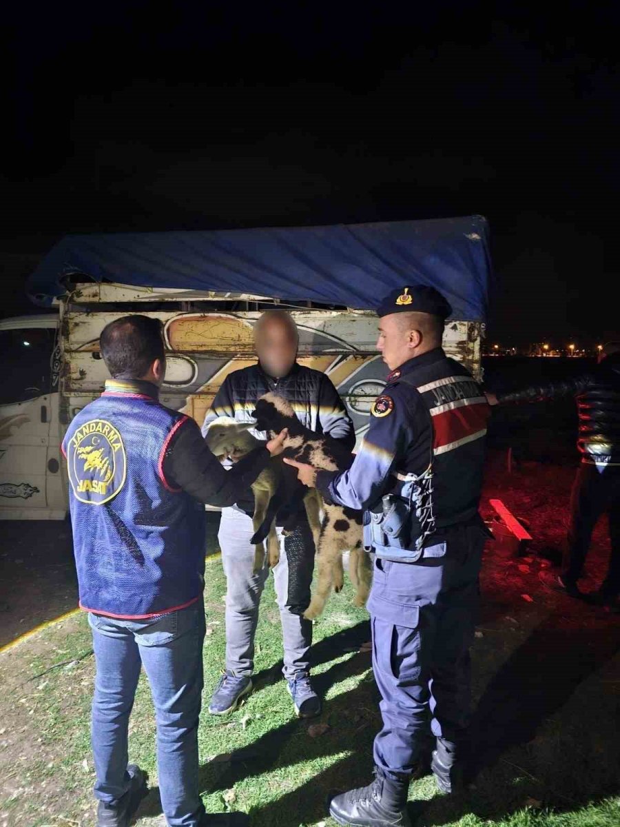 kucukbas-hayvan-calan-4-kisiyi-jasat-yakaladi