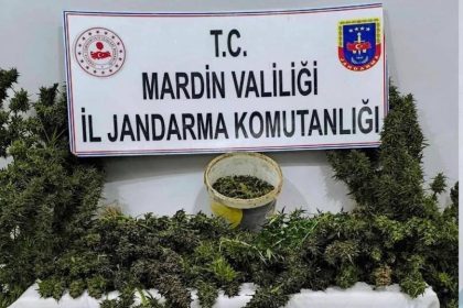 mardinde-uyusturucu-operasyonunda-3-tutuklama