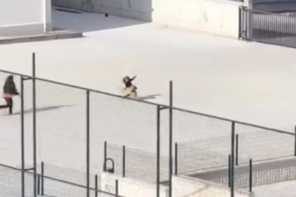 okul-bahcesine-giren-kopek-cocuklara-buyuk-panik-yasatti-o-anlar-kameraya-yansidi