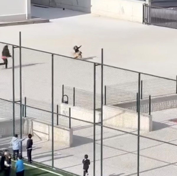 okul-bahcesine-giren-kopek-cocuklara-buyuk-panik-yasatti-o-anlar-kameraya-yansidi