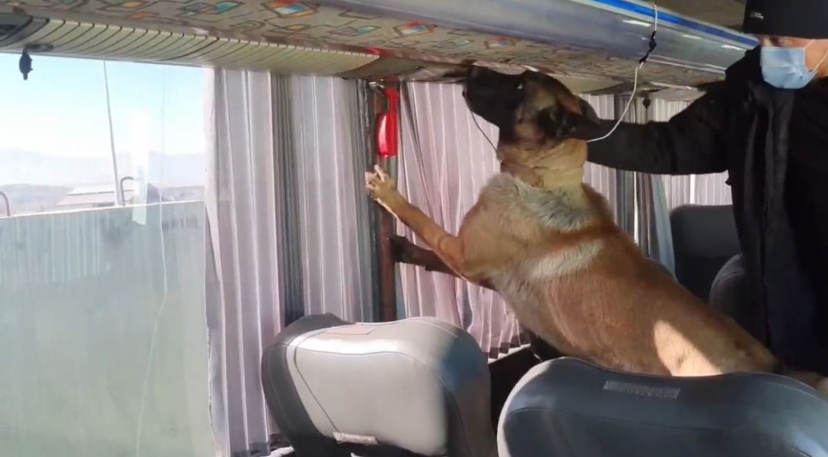 otobus-bagajinda-skunk-duzenegi-8-kilo-zehir-ele-gecirildi