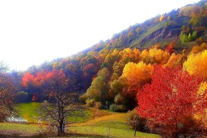 posofta-sonbaharla-gelen-guzellikler