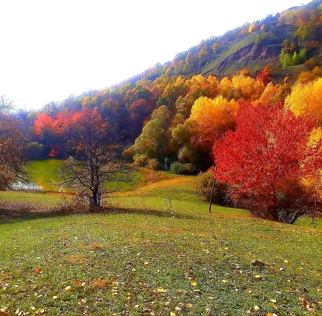 posofta-sonbaharla-gelen-guzellikler