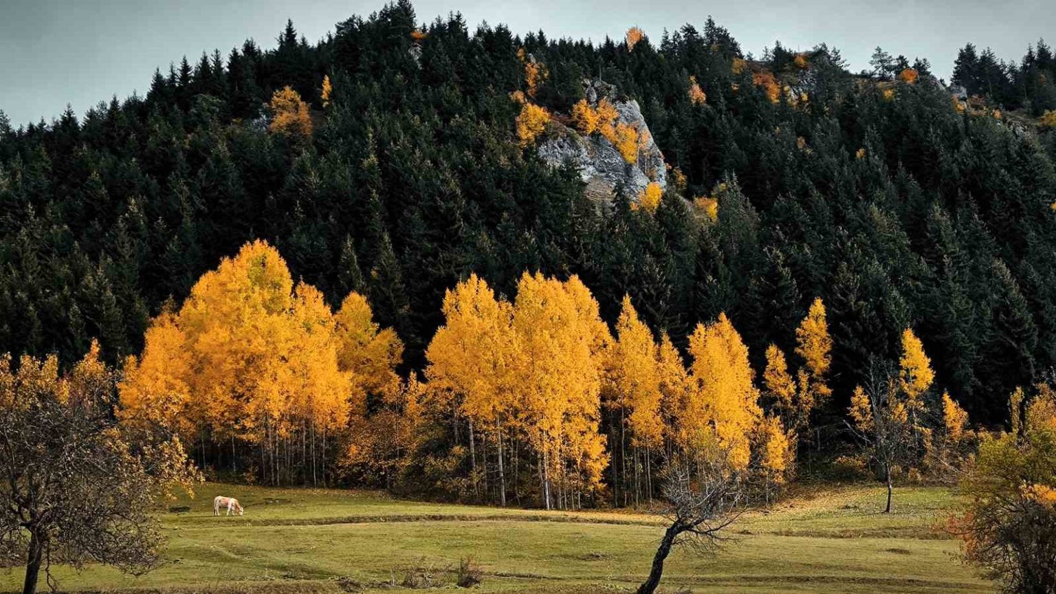 savsattan-kartpostallik-manzaralar