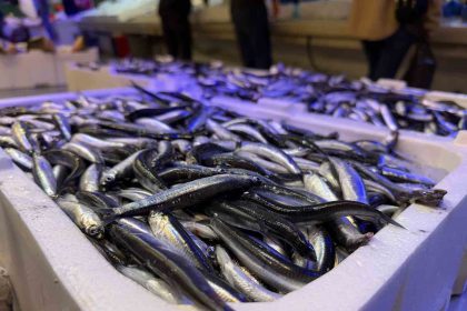 trabzondan-gelen-taze-baliklar-erzincanda-ilgi-goruyor