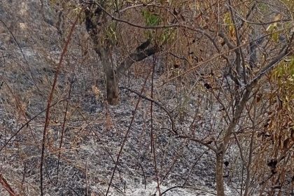 yasli-adam-bahcesini-temizlerken-yanginda-hayatini-kaybetti