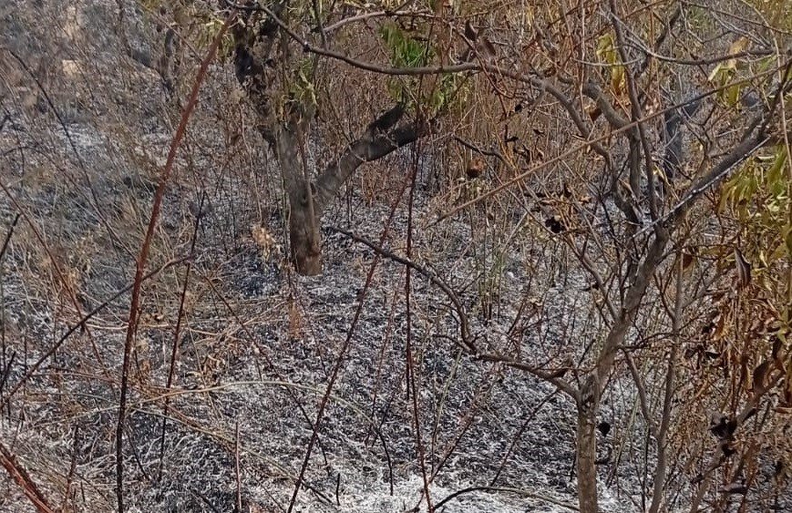 yasli-adam-bahcesini-temizlerken-yanginda-hayatini-kaybetti