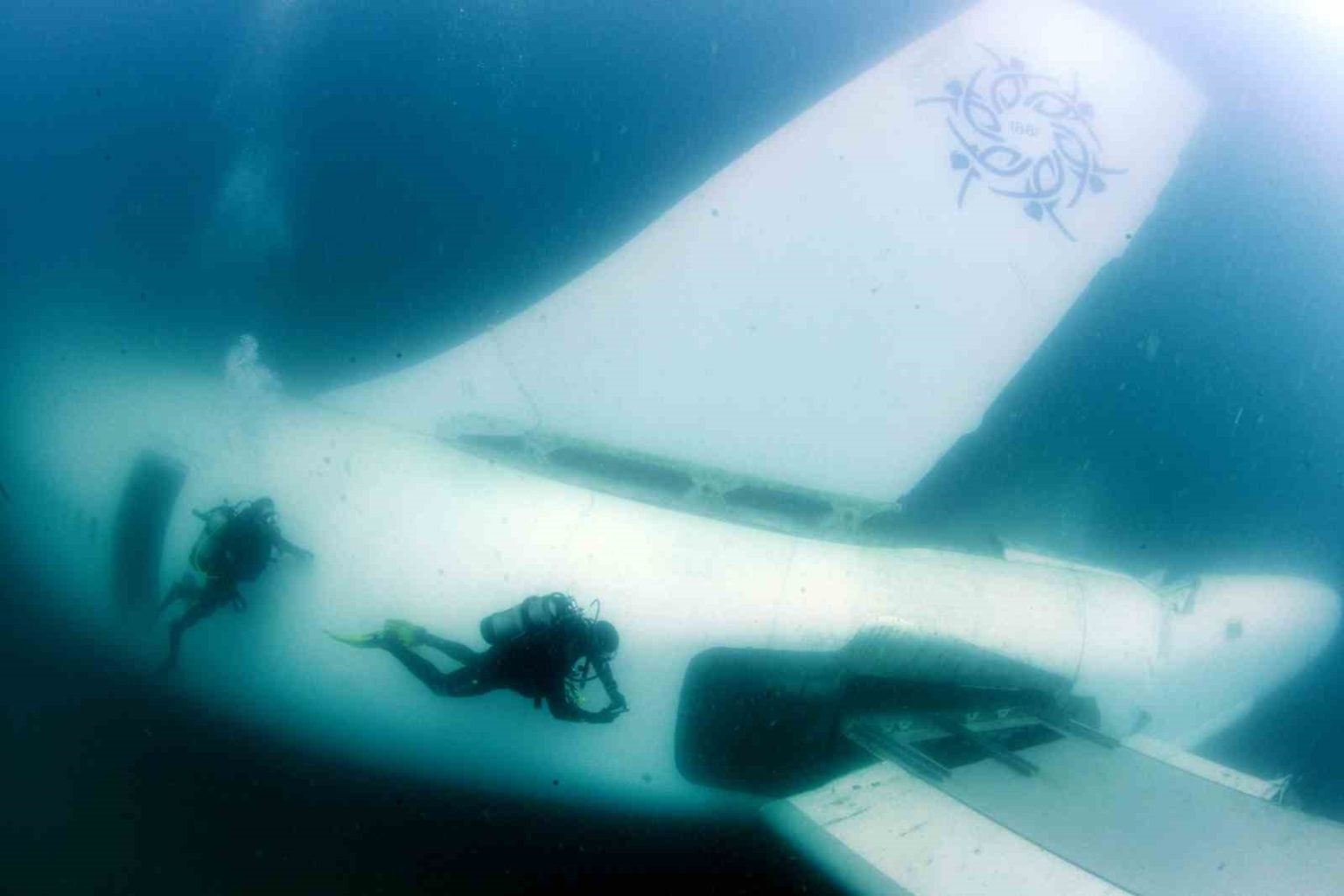 baskan-cercioglu-aydinin-kapilarini-dunyaya-aciyor