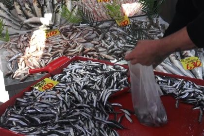denizi-olmayan-cankirida-100-liraya-satilan-hamsi-yuzleri-guldurdu