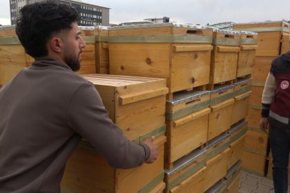 dogunun-en-cok-bal-uretilen-ikinci-ili-olan-bingolde-aricilara-435-organik-kovan-dagitildi