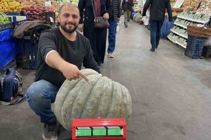 ele-avuca-sigmayan-60-kiloluk-bal-kabagi-el-arabasiyla-tasiniyor