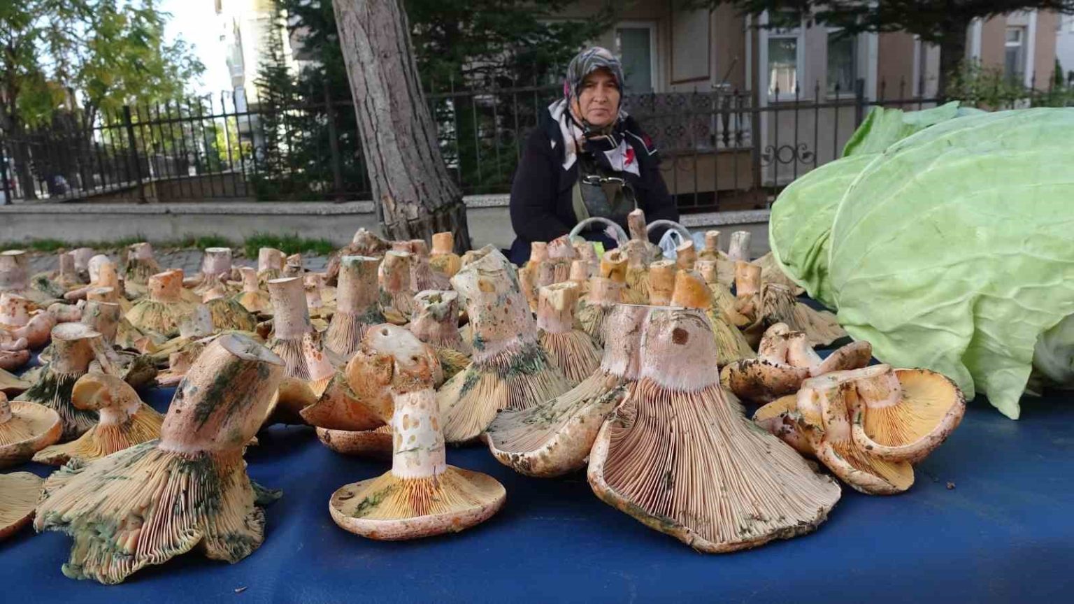 kutahyada-melki-bereketi