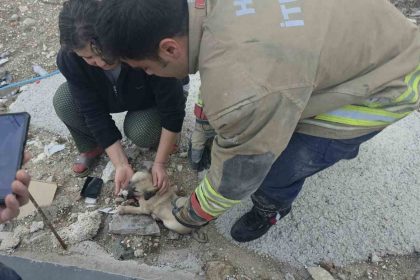 rogarda-mahsur-kalan-yavru-kopegi-itfaiye-kurtardi