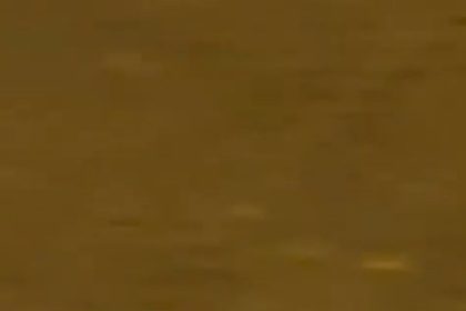 sanliurfada-ac-tilki-kent-merkezine-indi