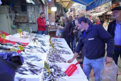 tezgahlarda-hamsi-bollugu