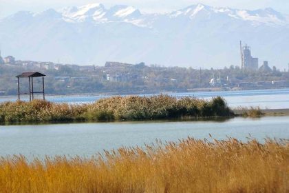 van-golu-havzasi-turkiyenin-en-fazla-sulak-alanina-ev-sahipligi-yapiyor