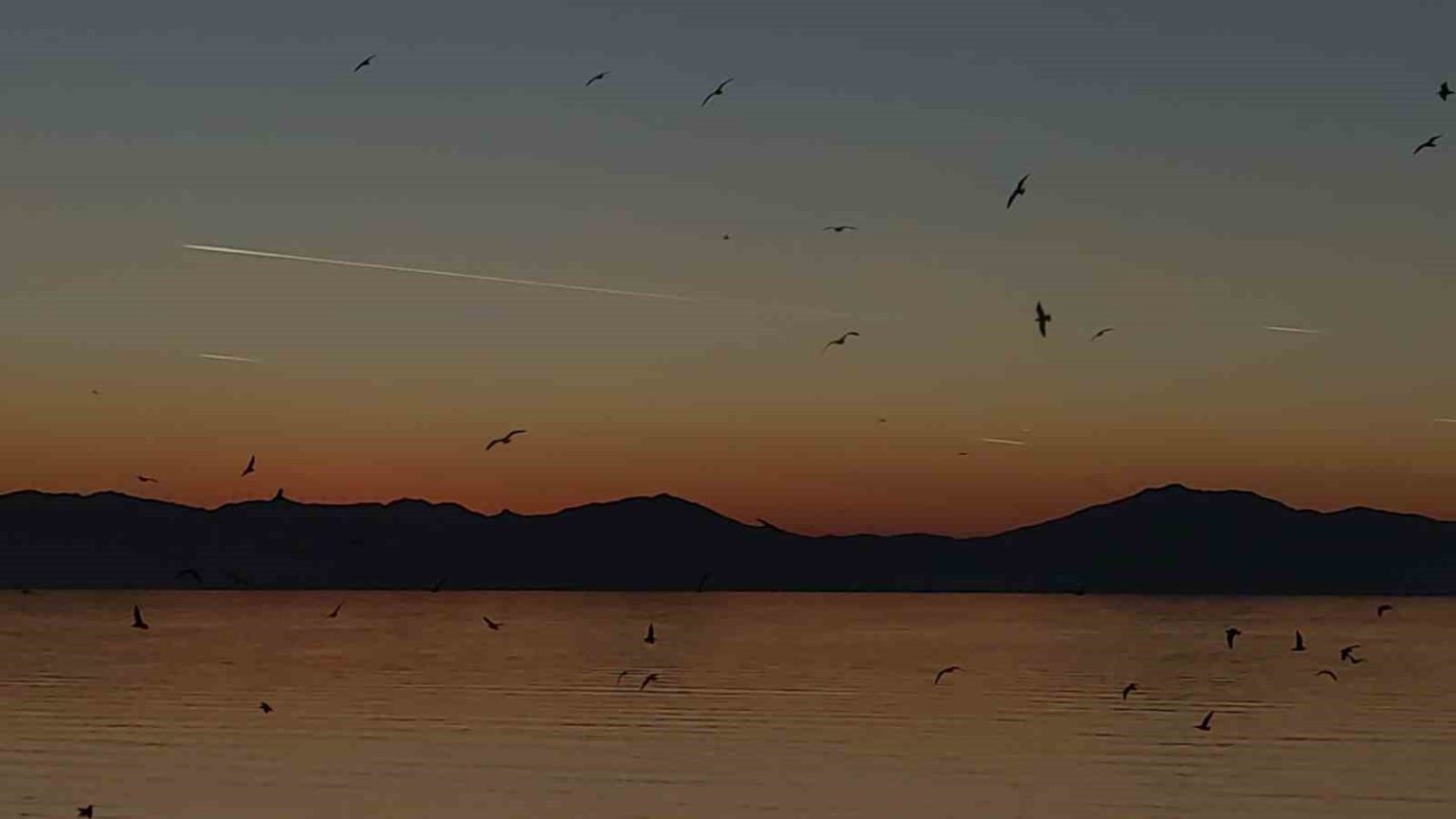 van-semalarinda-kartpostallik-aksam-ucaklar-kuslar-ve-kizil-gunbatimi-buyuledi