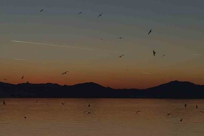 van-semalarinda-kartpostallik-aksam-ucaklar-kuslar-ve-kizil-gunbatimi-buyuledi