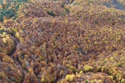 boluda-ormanlik-alanlarda-sonbahar-guzelligi