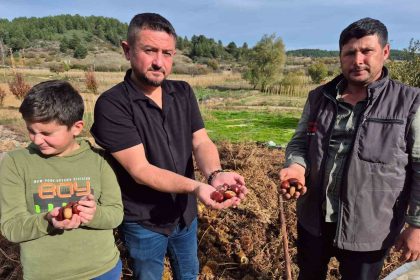 buldanin-tescilli-kestanesinde-hasat-zamani