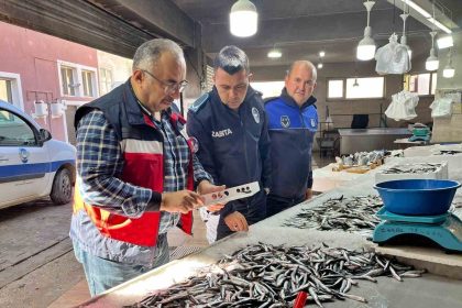 emette-su-urunlerine-yonelik-denetim