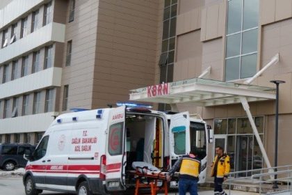 erzincanda-uzum-baginda-calisan-vatandasa-ayi-saldirdi